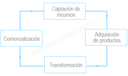 ciclo productivo